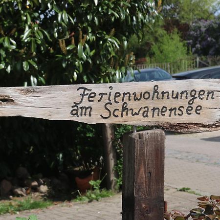 Ferienwohnungen Am Schwanensee Plön Zewnętrze zdjęcie
